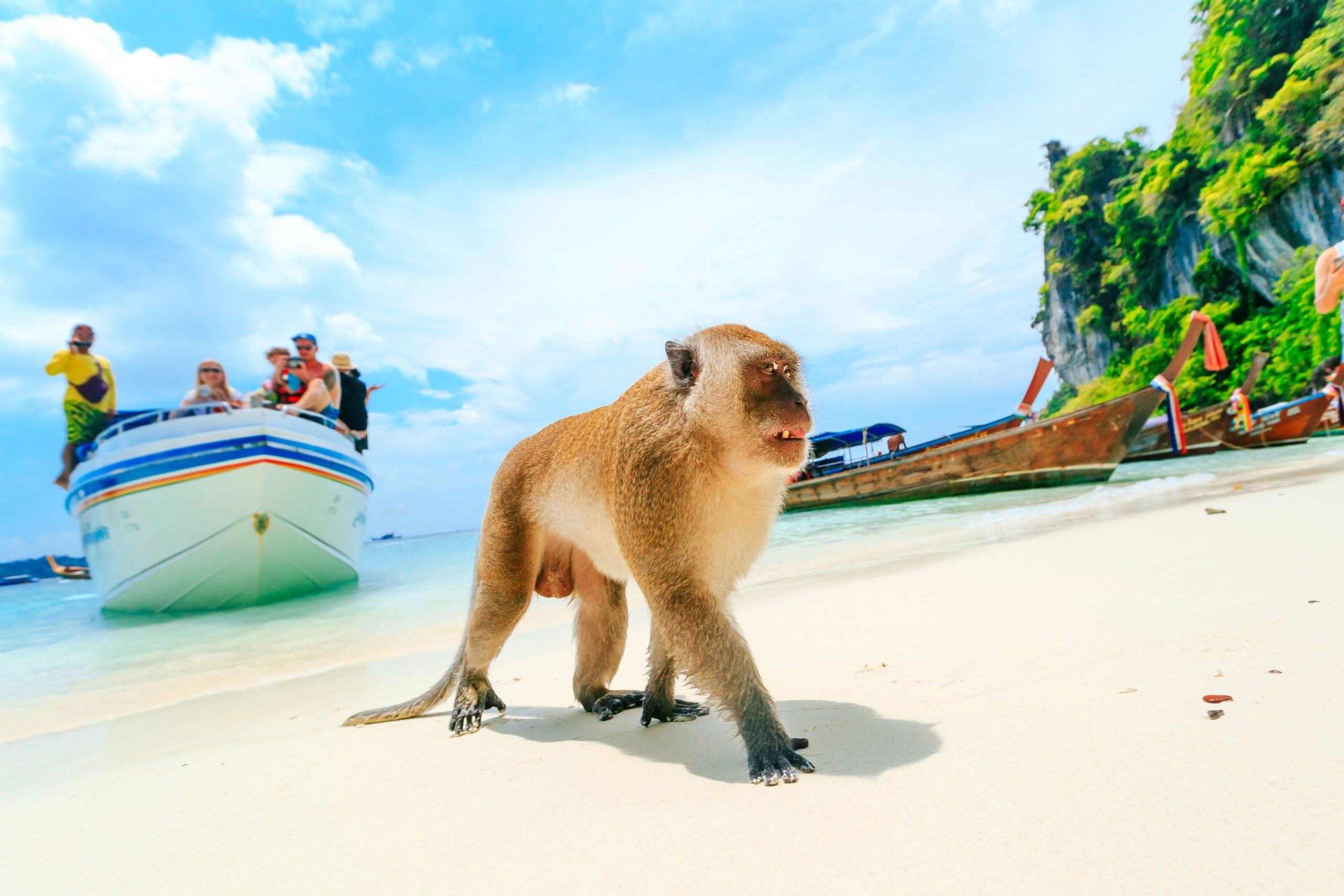 Phuket-Monkey-Beach....ii..shutterstock_639614815